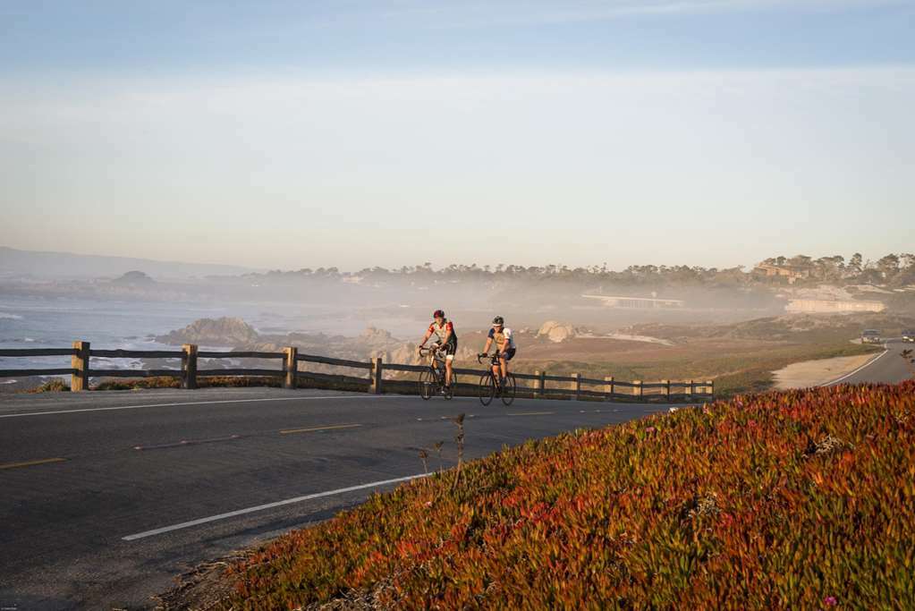Lodge At Pebble Beach Natur billede